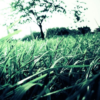 1920 x 1080 HD Wallpapers 1598